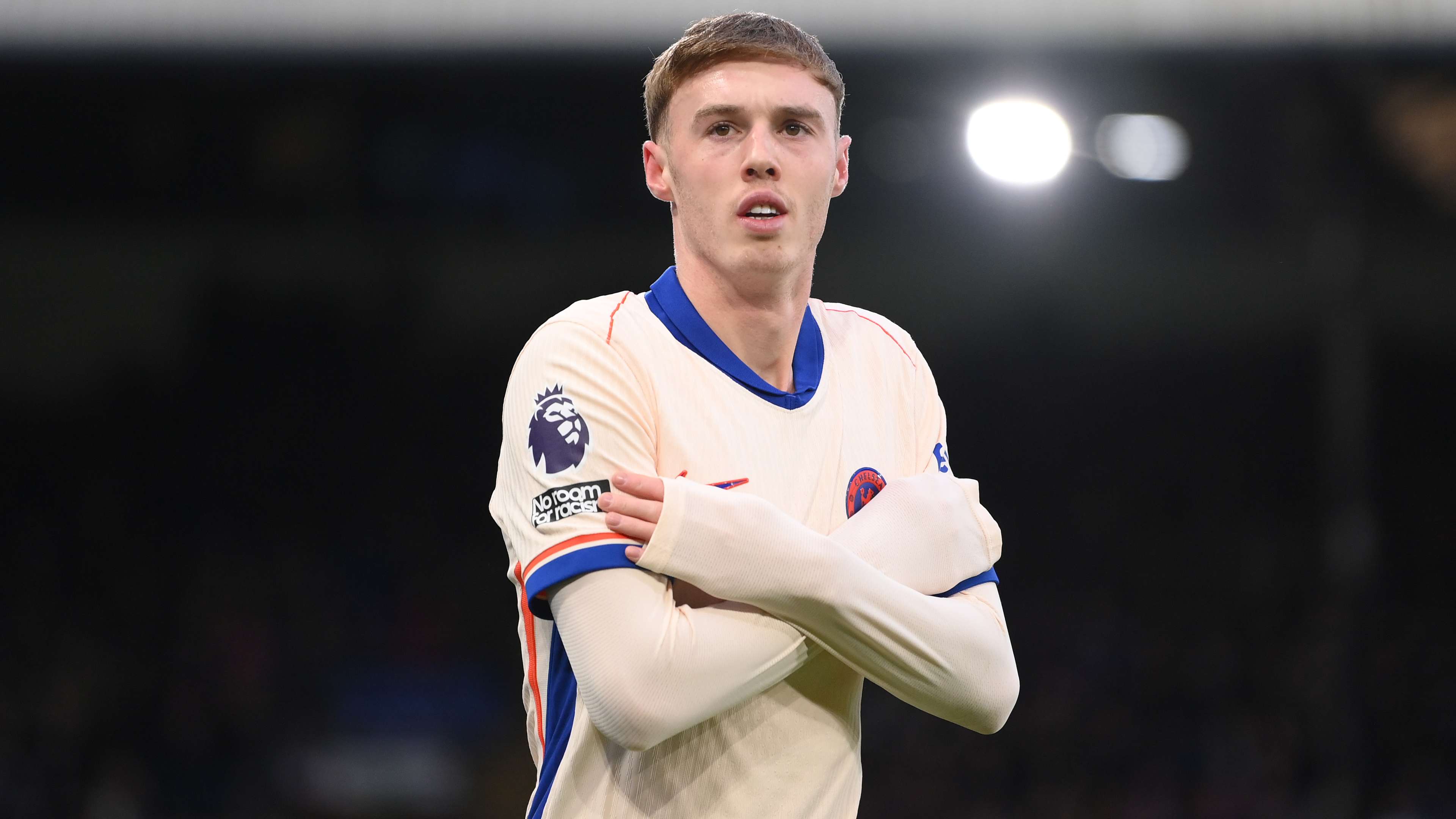 正是适应了 正是适应了