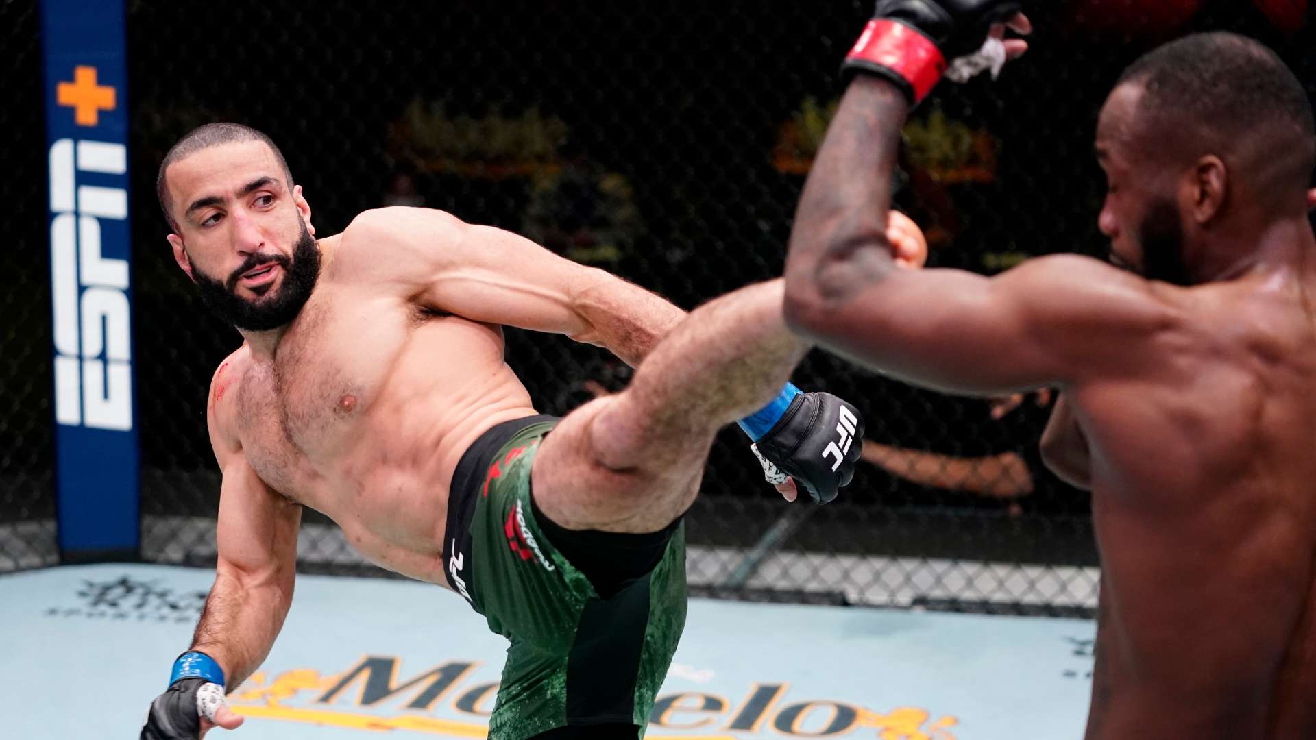 球迷们的互 球迷们的互